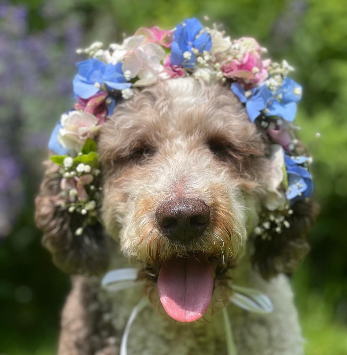 Workshop "Haarkranz"